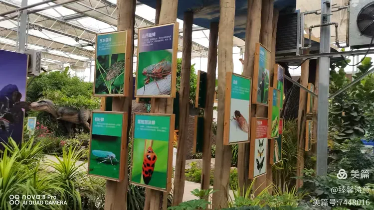 河北省故城县以岭康养庄园之中国金蝉文化馆